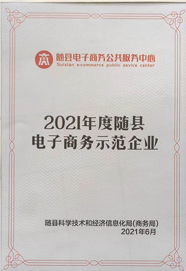 2021年度随县电子商务示范企业