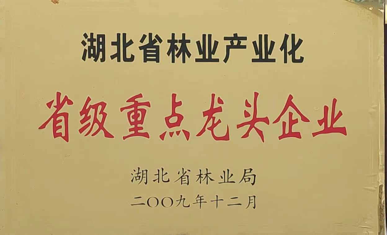 省林业产业化重点龙头企业（2009）