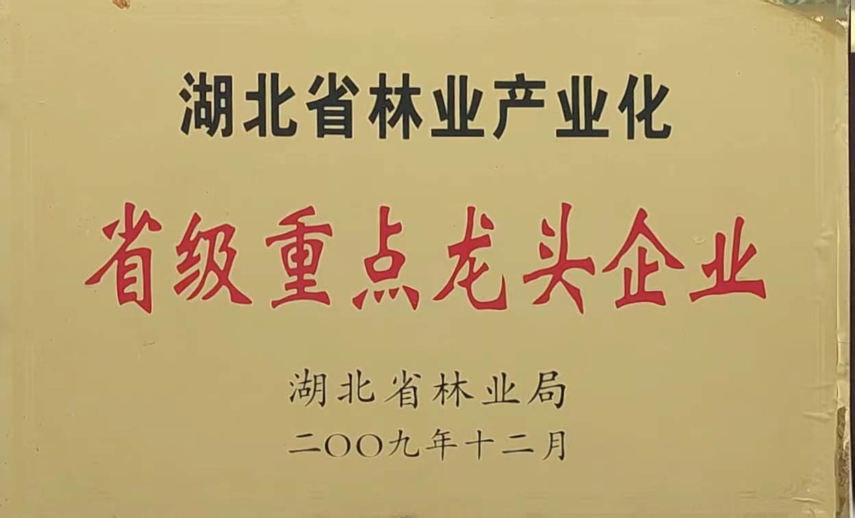 省林业产业化重点龙头企业（2009.12).jpg