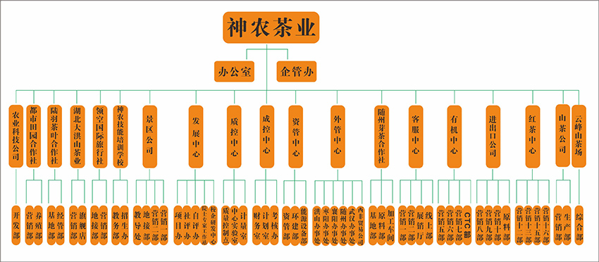 网站组织机构.jpg